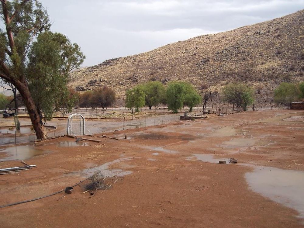Another picture showing what it looks like after it rained