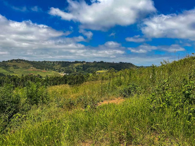 A scenic view of the surrounding landscape and rolling hills, showcasing the natural terrain of the vacant residential land.