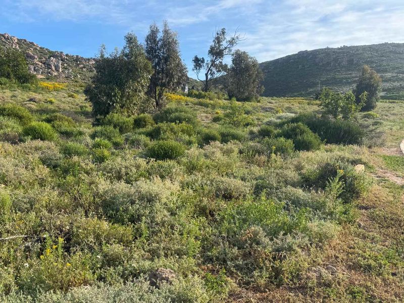 Plot & Plan Opportunity in St Helena Views – Modern Coastal Living with Solar Power - Photo 9