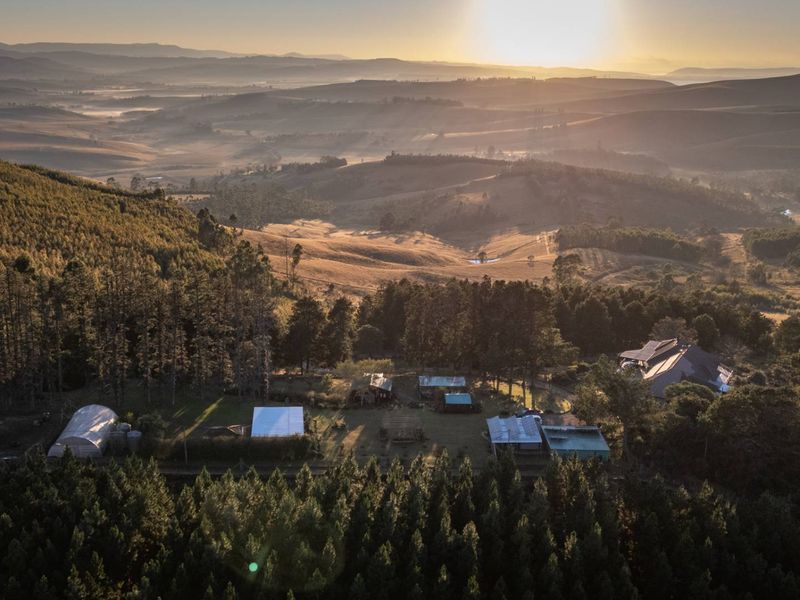 69ha Lifestyle Farm with Two Income-Producing Guest Cottages and 360° Views. - Photo 5