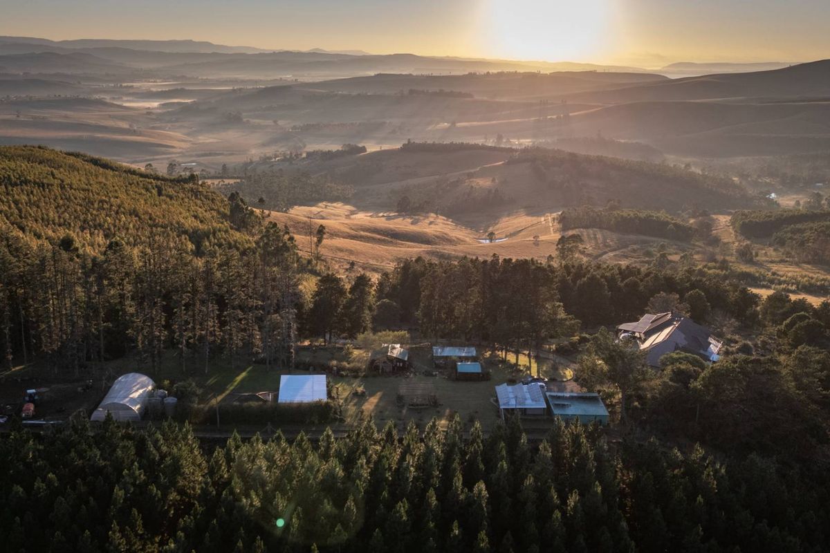 69ha Lifestyle Farm with Two Income-Producing Guest Cottages and 360° Views. - Photo 5