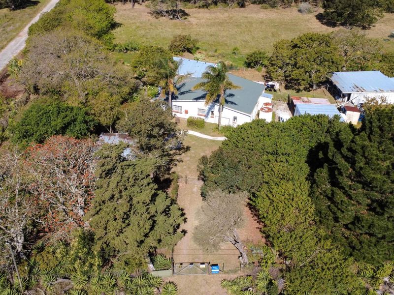 Your Country Escape Awaits – 1.7ha Smallholding - Photo 2