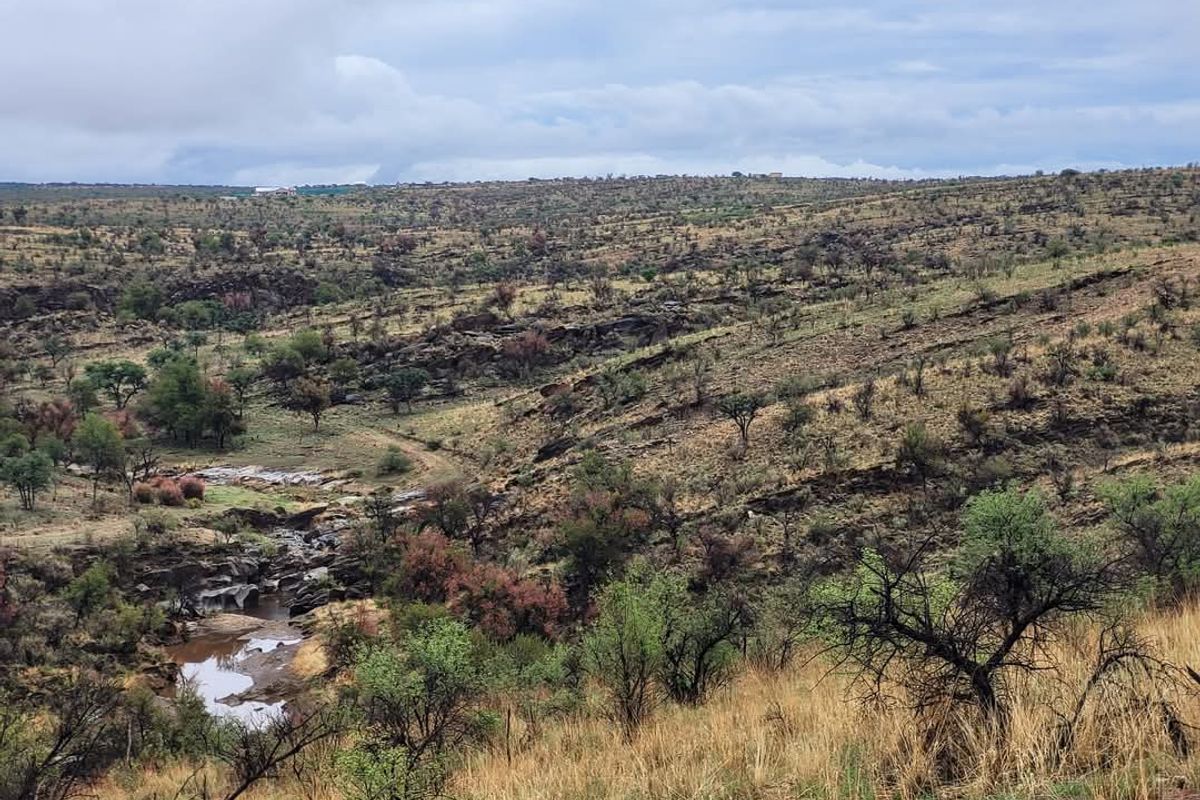 Vacant 13HA undeveloped land for Sale in Daan Viljoen area - Photo 3