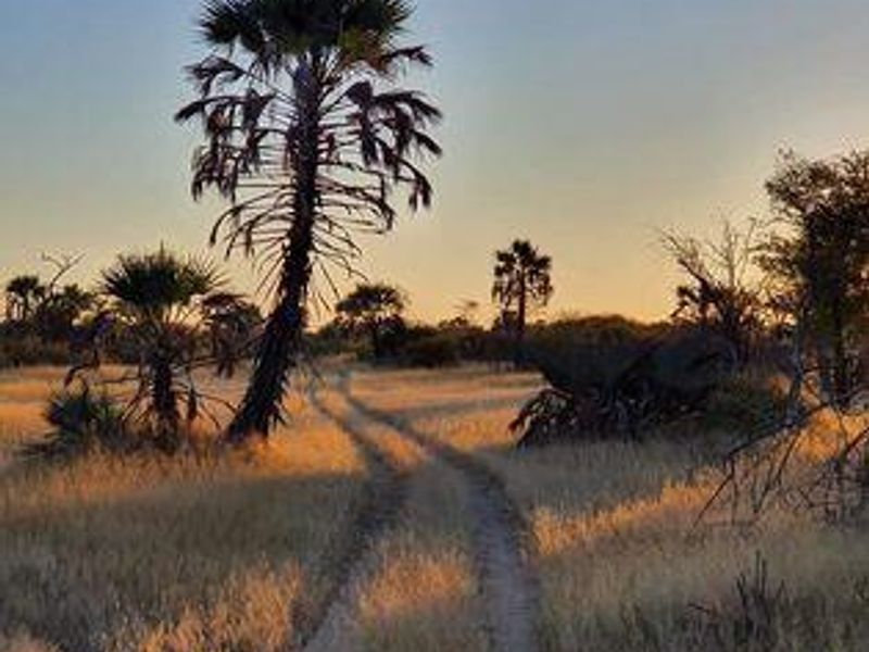 Own a Profitable Game farm in Scenic Grootfontein! - Photo 6