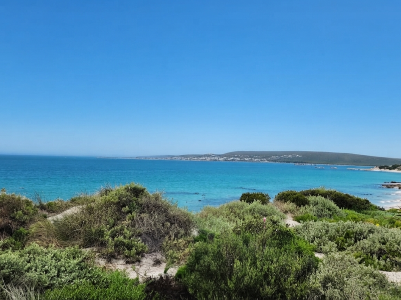 Rare Beachfront Stand in Shelley Point – Build Your Dream Home on the Ocean's Edge - Photo 3