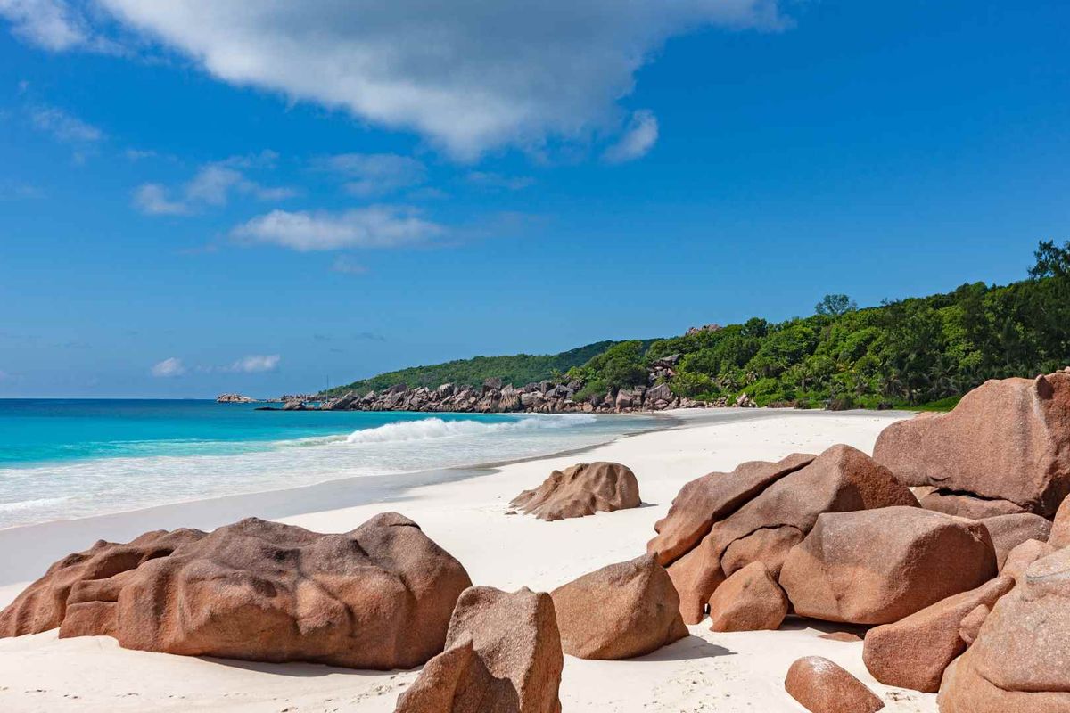 TOURISM DEVELOPMENT LAND IN PICTURE PERFECT PRASLIN - Photo 2