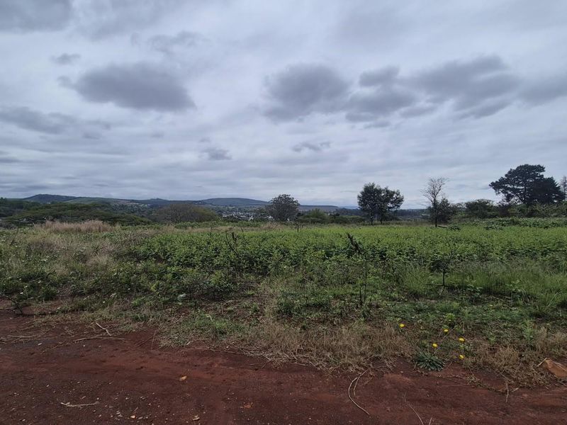 An expansive view of undeveloped commercial land featuring natural vegetation and distant landscape scenery under a cloudy sky.