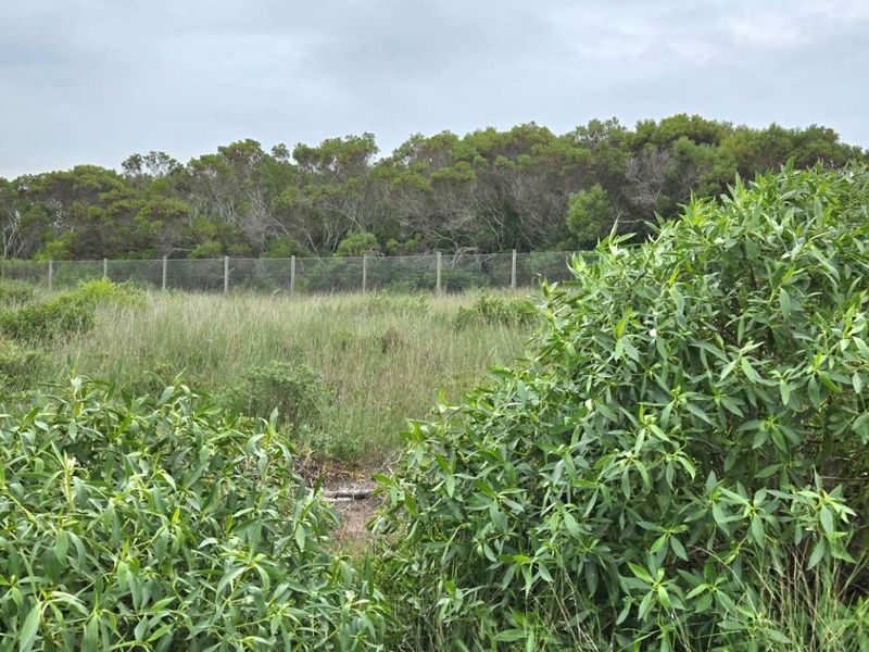 Elevated Stand with Excellent Investment Potential - Photo 8