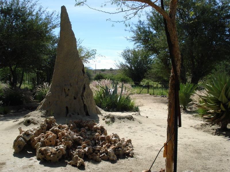 A natural garden area on the small holding featuring a large termite mound, rock landscaping, and established indigenous trees and shrubs.