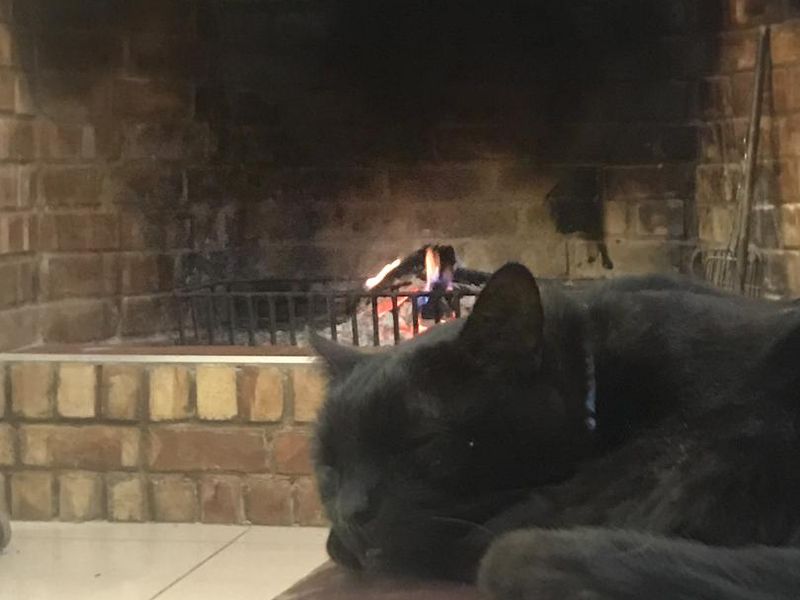 Welcome to your Bespoke Architectural Masterpiece - Photo 7