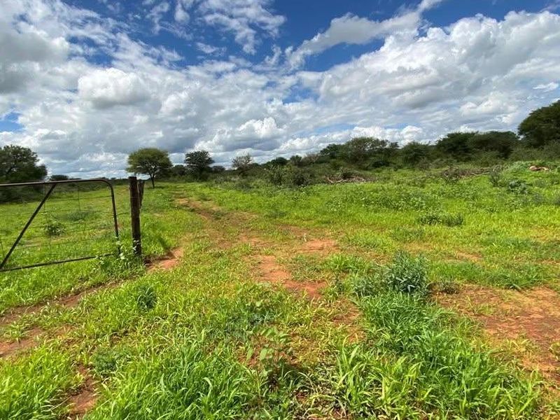 A Rare 1,268.25-Hectare Game Farm in the Hochfeld Area - Photo 4
