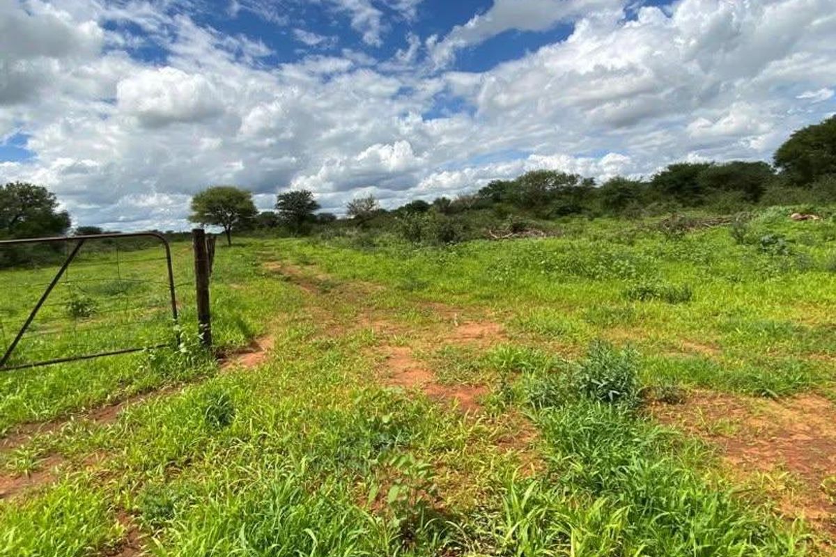 A Rare 1,268.25-Hectare Game Farm in the Hochfeld Area - Photo 4