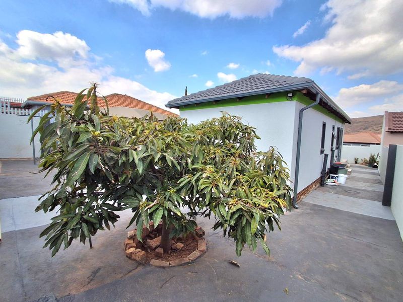 A view of the rear exterior area featuring concrete paving, a mature tree in a brick planter, and a well-maintained building facade.