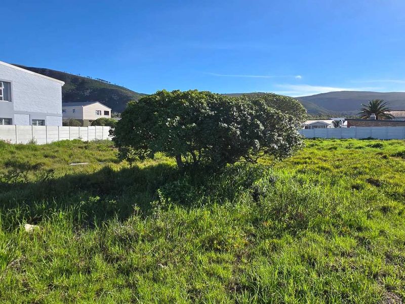 1077sqm Vacant Stand in Franskraal – Walk to the Beach! - Photo 5