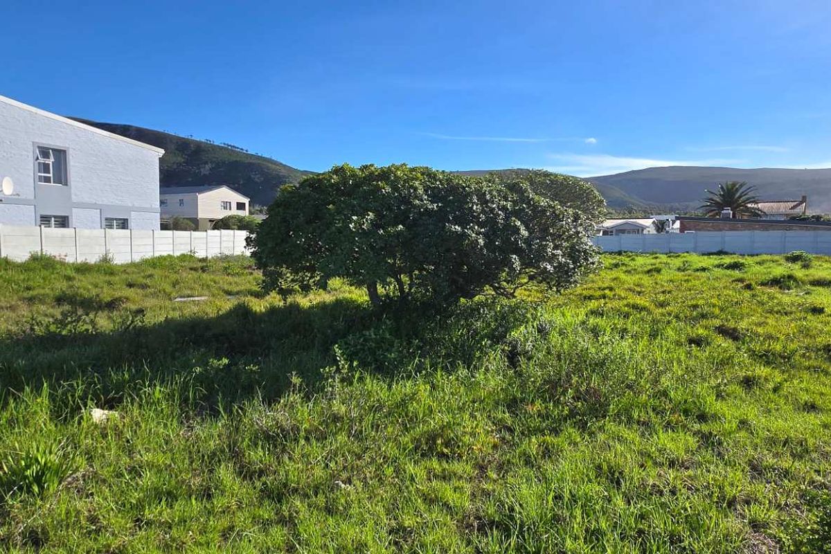 1077sqm Vacant Stand in Franskraal – Walk to the Beach! - Photo 5