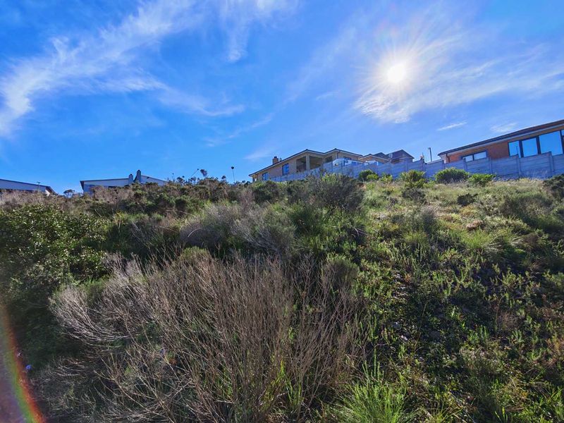 A view of a sloped, undeveloped residential plot featuring native vegetation and boundary fencing, with neighboring properties visible in the background.