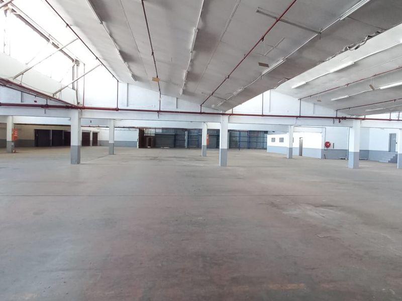 Industrial Property for Lease – Unit 03, Ben 05 - Photo 10