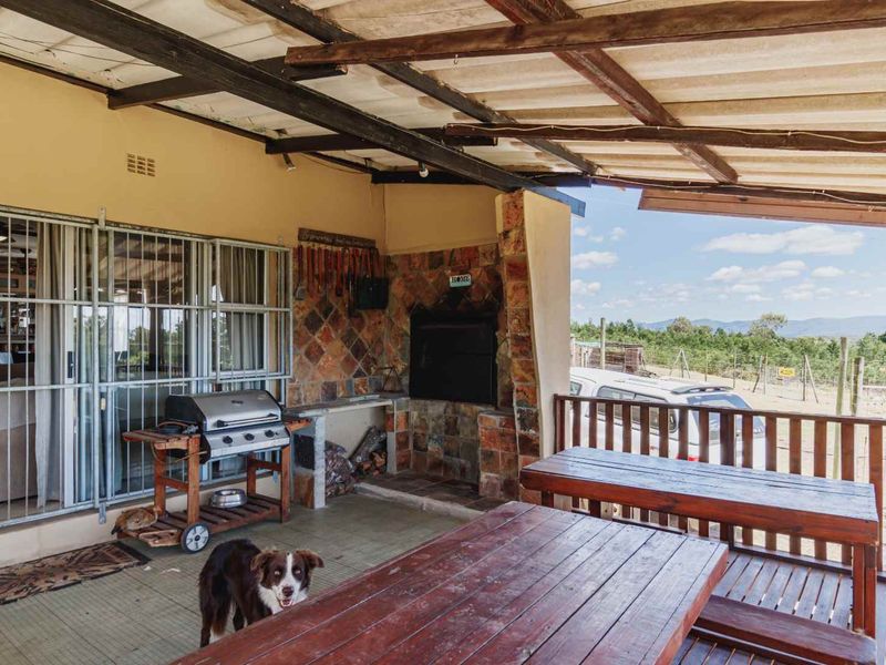 Charming Family Home on Small Farm with Endless Possibilities - Photo 4