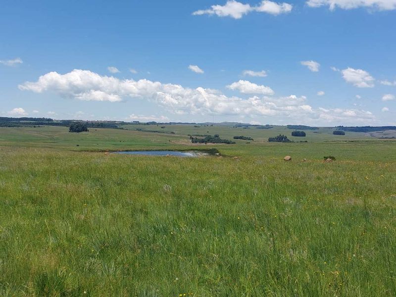 600ha Multi-Income Farm & Lifestyle Estate – Belfast / Dullstroom Area - Photo 3