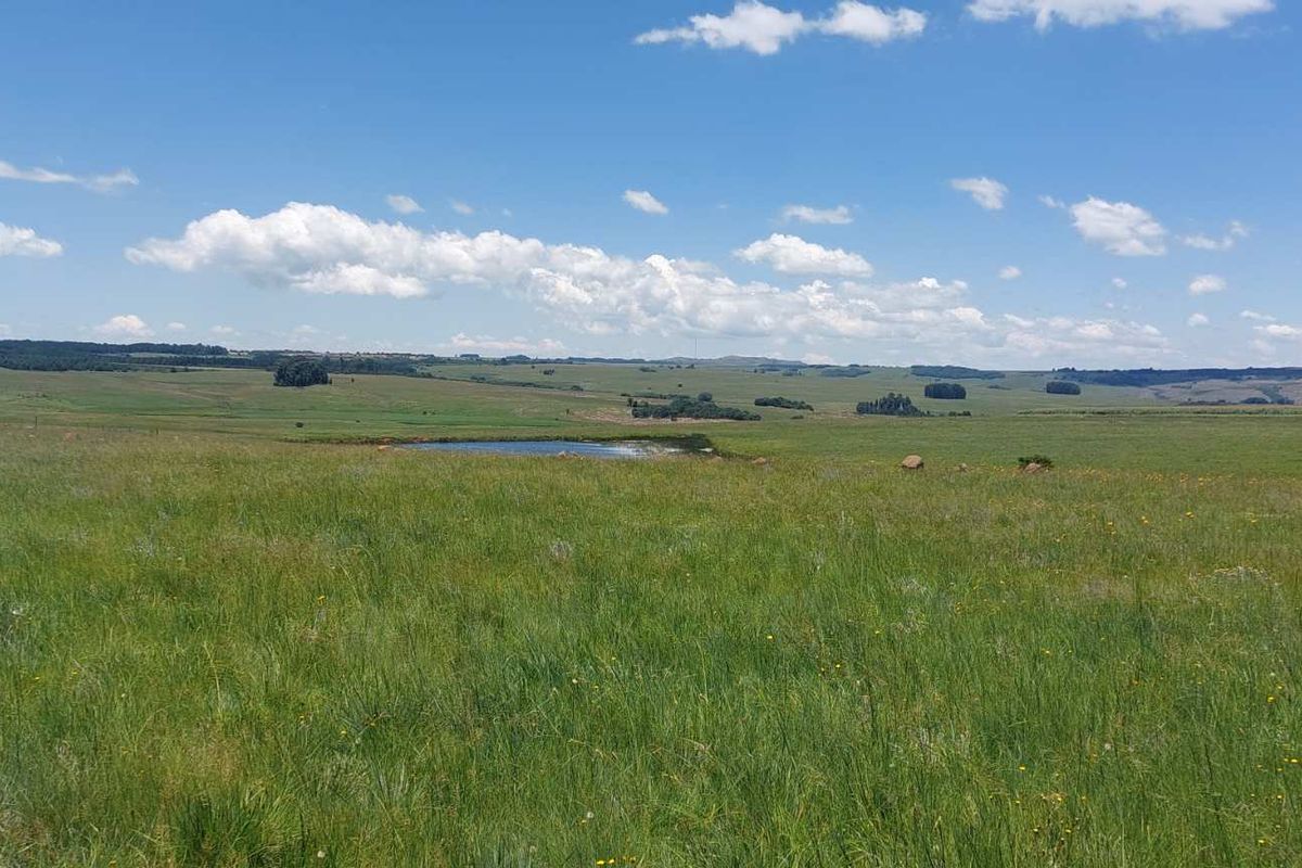 600ha Multi-Income Farm & Lifestyle Estate – Belfast / Dullstroom Area - Photo 3