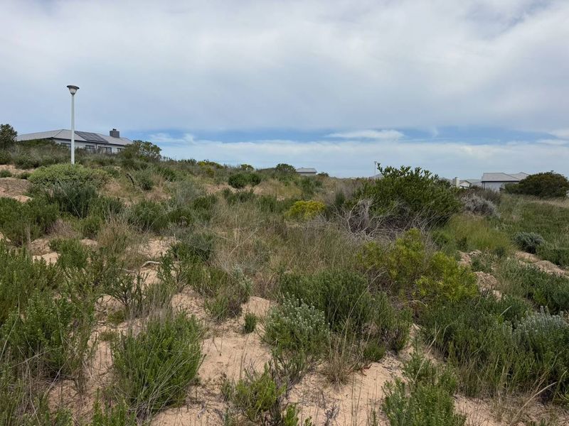 A view of a vacant residential plot featuring natural sandy terrain and native coastal vegetation with surrounding residential properties in the distance.