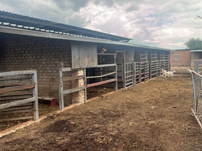 Agricultural Farm for Sale - Grootfontein Region - Photo 4