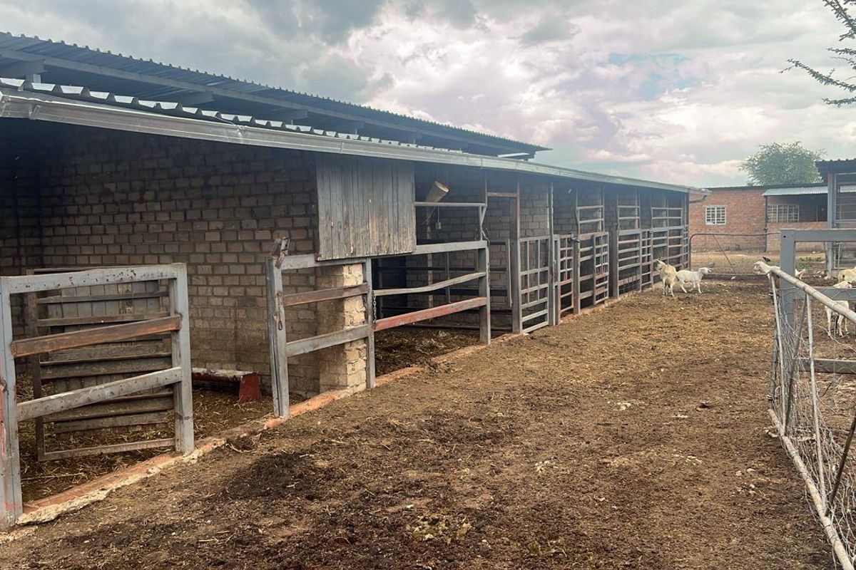 Agricultural Farm for Sale - Grootfontein Region - Photo 4