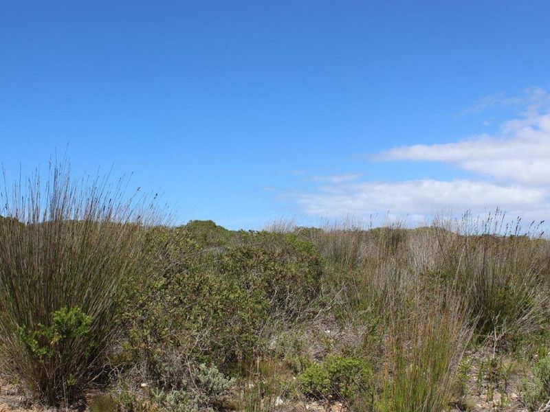 Bosbokduin Bliss - Photo 9