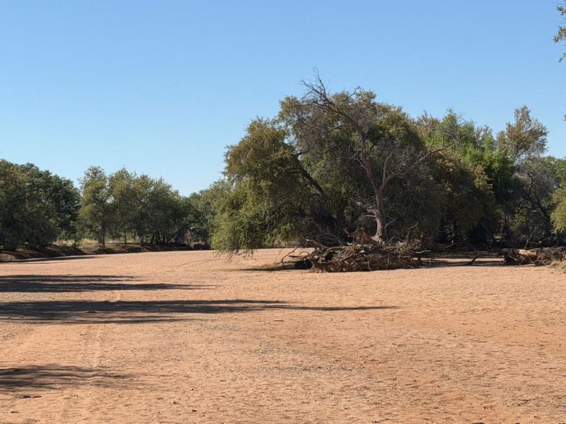 GAME FARM FOR SALE - KAMANJAB - Photo 3