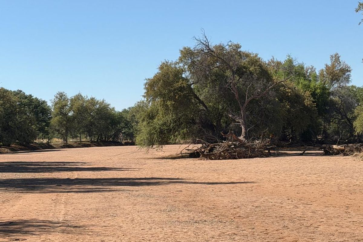 GAME FARM FOR SALE - KAMANJAB - Photo 3