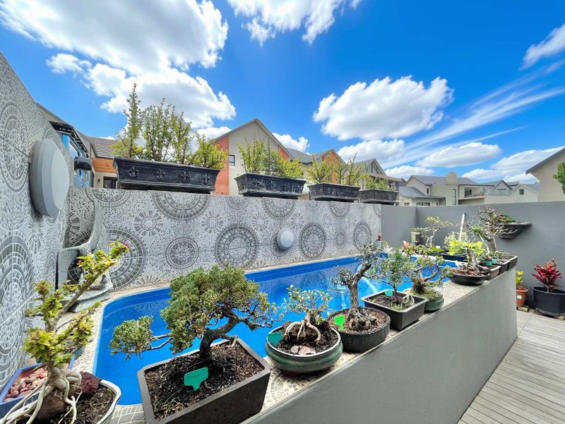 A well-maintained outdoor pool area featuring a decorative tiled feature wall and timber decking, creating a compact and stylish entertainment space.