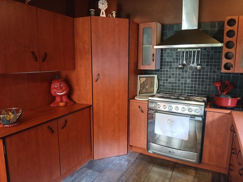 A functional kitchen featuring warm-toned laminate cabinetry, a stainless steel oven with matching extractor fan, and a dark tiled splashback.