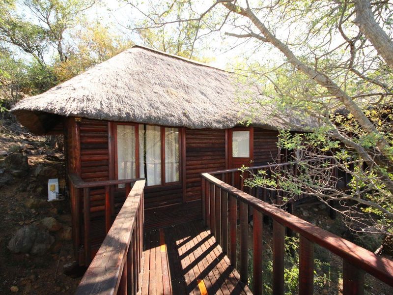 A rustic timber cabin featuring a traditional thatch roof and an elevated wooden deck walkway, nestled in a natural bushveld setting.