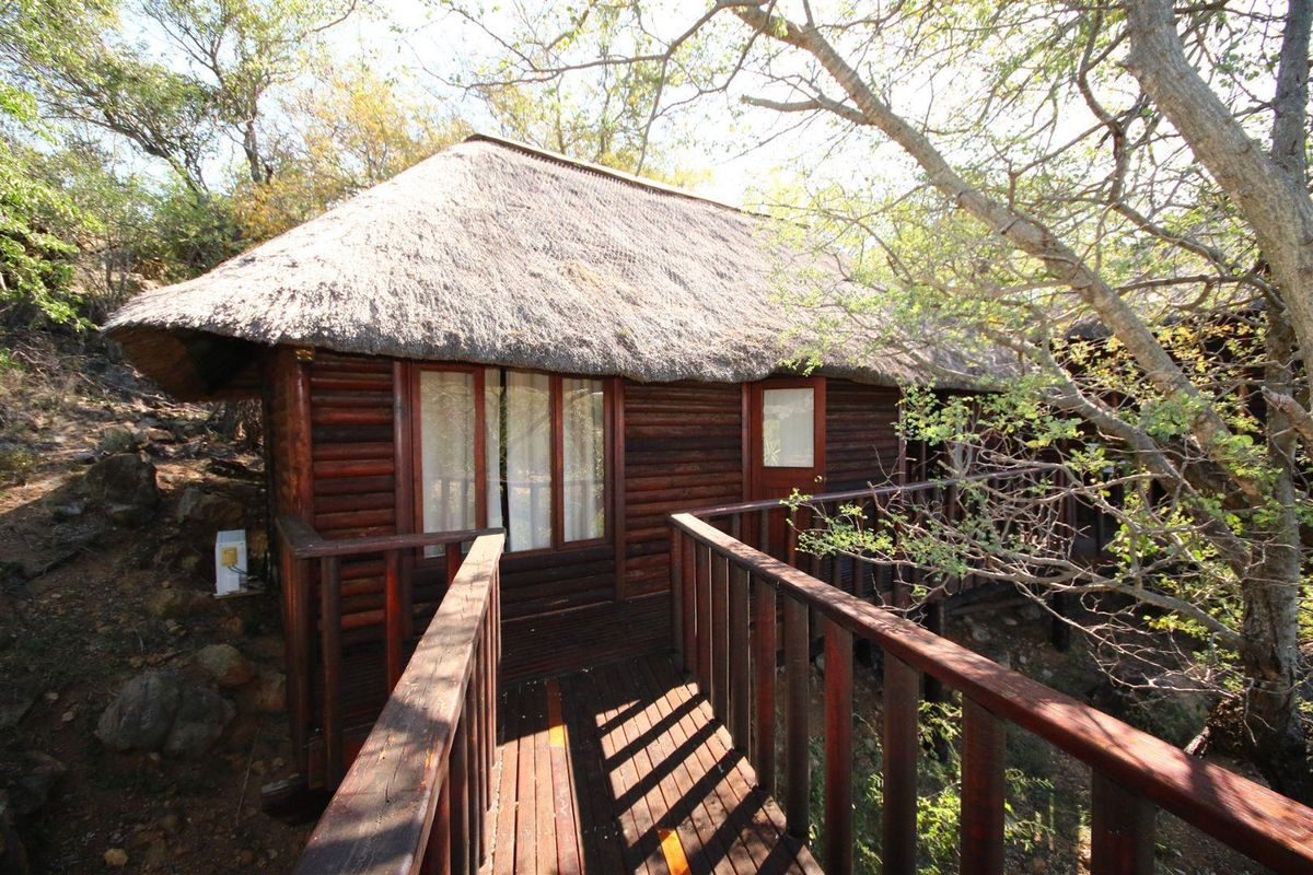 A rustic timber cabin featuring a traditional thatch roof and an elevated wooden deck walkway, nestled in a natural bushveld setting.