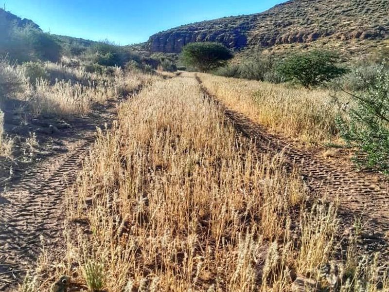 IDEAL LIVESTOCK / HUNTING FARM FOR SALE NEAR KEETMANSHOOP - NAMIBIA - Photo 2