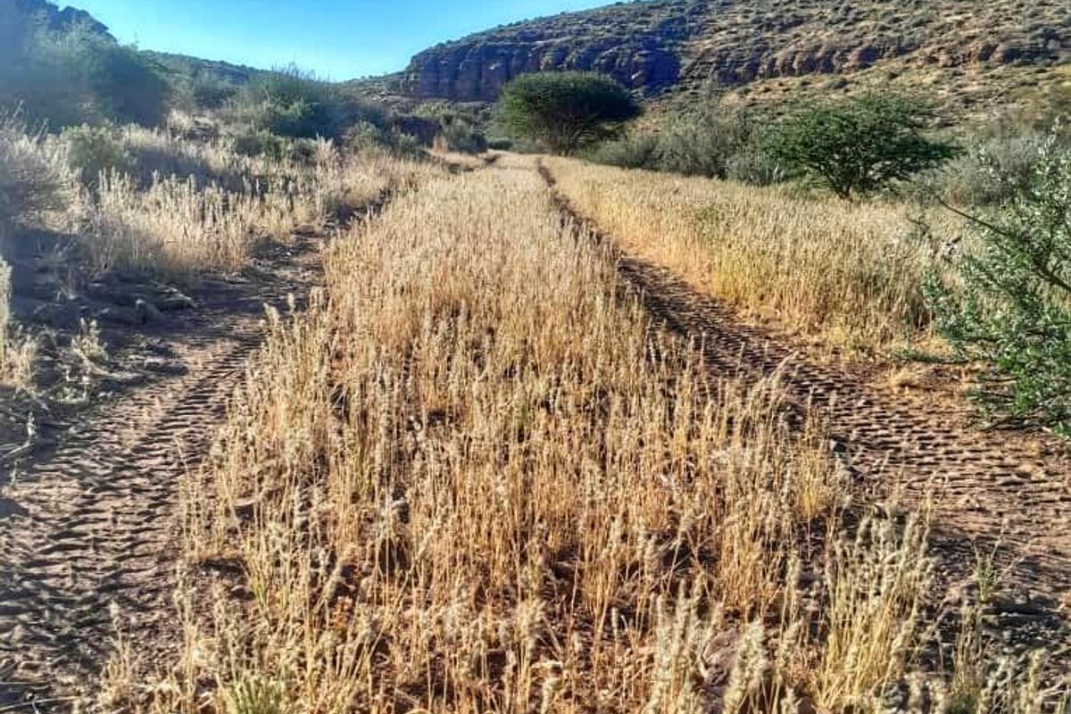 IDEAL LIVESTOCK / HUNTING FARM FOR SALE NEAR KEETMANSHOOP - NAMIBIA - Photo 2