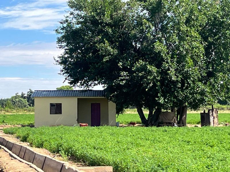 Prime 26 ha Agricultural Property plus 1.5ha building plot for Sale - Photo 10