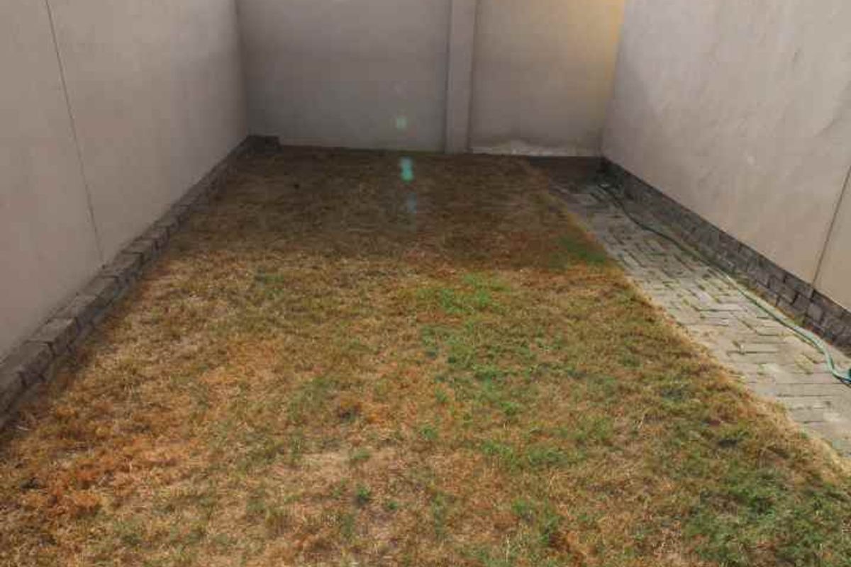 A small, enclosed rear garden area featuring a lawn and paved pathway, bordered by high boundary walls.
