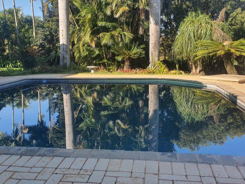 Great investment, smallholding for sale 5-bedroom house, 1 bedroom flat, and stables with endless opportunity. - Photo 8