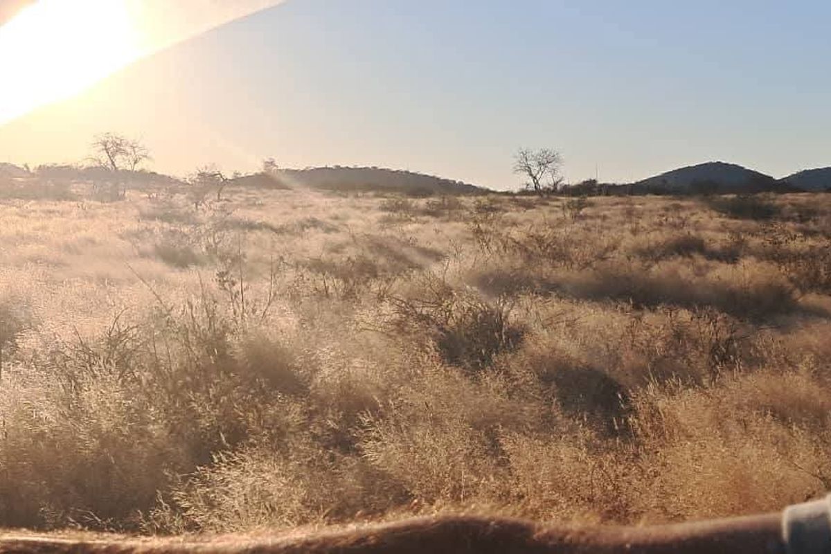 Farm for sale - Photo 2