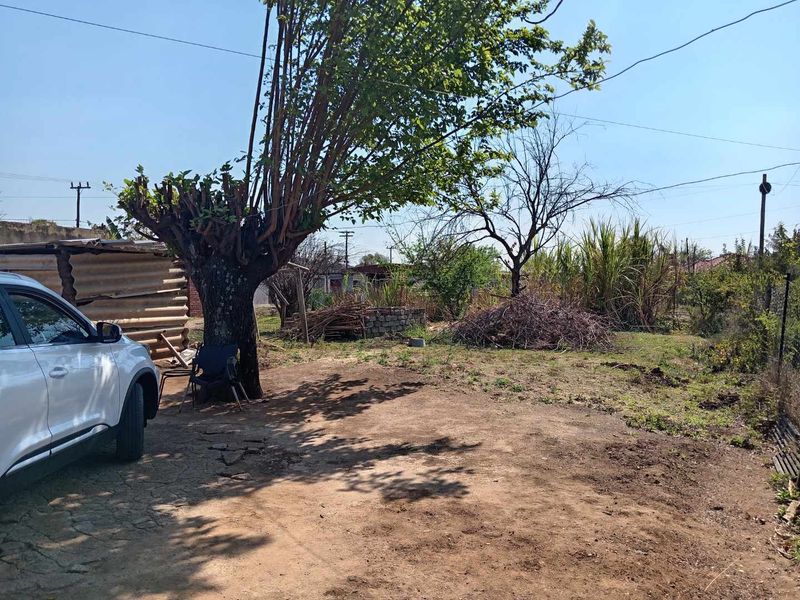 A large, unmaintained garden area featuring a mature tree and open space, requiring landscaping and clearing to improve the property's exterior appeal.