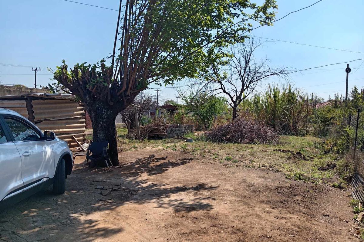 A large, unmaintained garden area featuring a mature tree and open space, requiring landscaping and clearing to improve the property's exterior appeal.