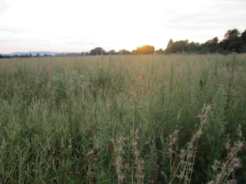 Calling all Developers - Photo 5