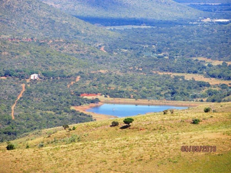 STUNNING GAME FARM FOR SALE IN OHRIGSTAD, LIMPOPO - Photo 5