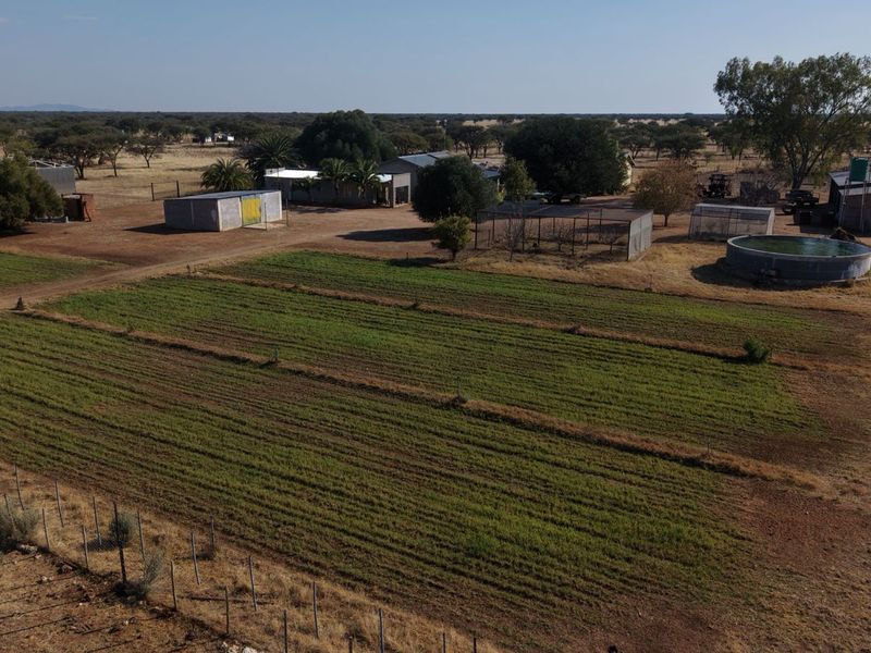 A genuine working farm for the serious agricultural buyer. - Photo 6