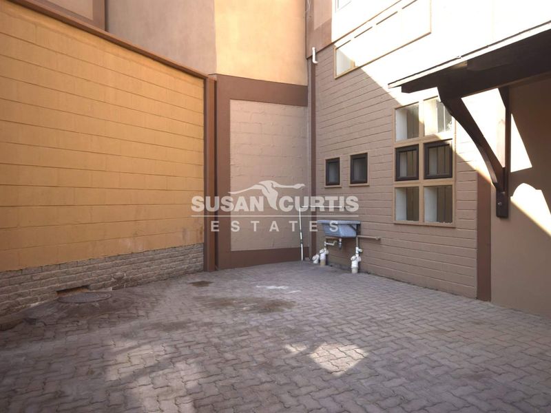 A paved rear courtyard area featuring an external utility sink, exposed plumbing, and brick masonry wall finishes.