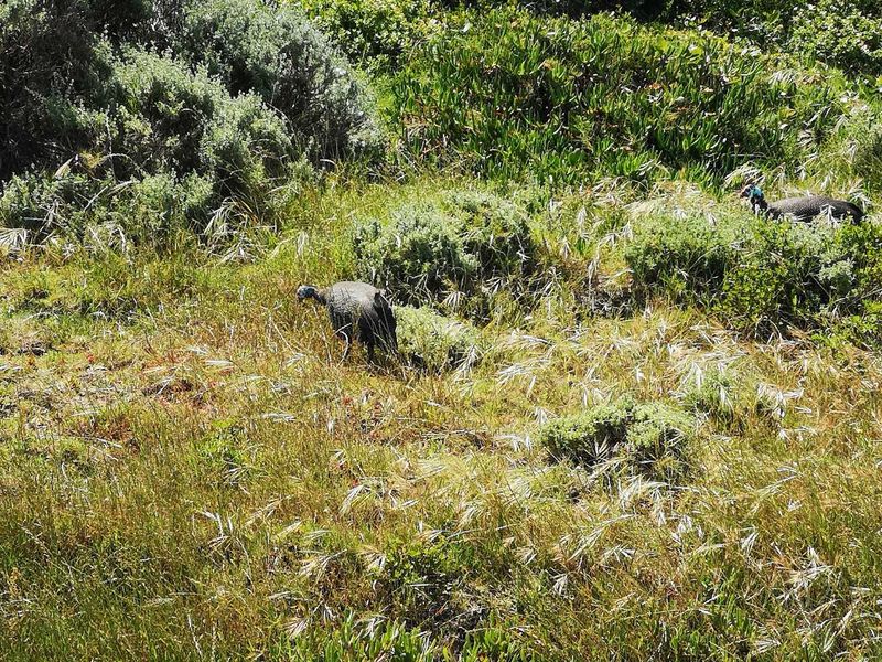 See the sea - vacant stand in Dana Bay - Photo 4