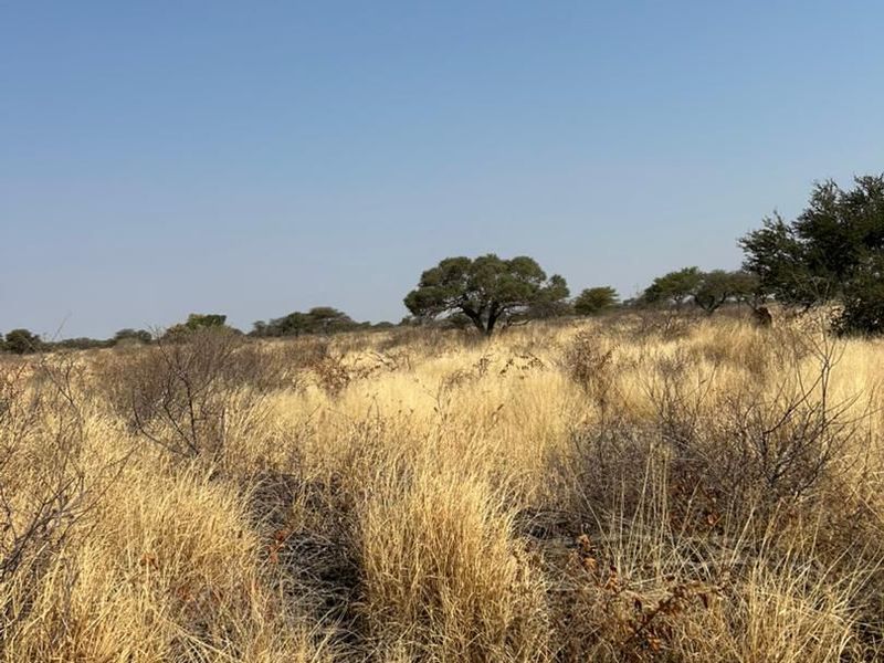 Phase 3 Omuramba Now selling! - Photo 4