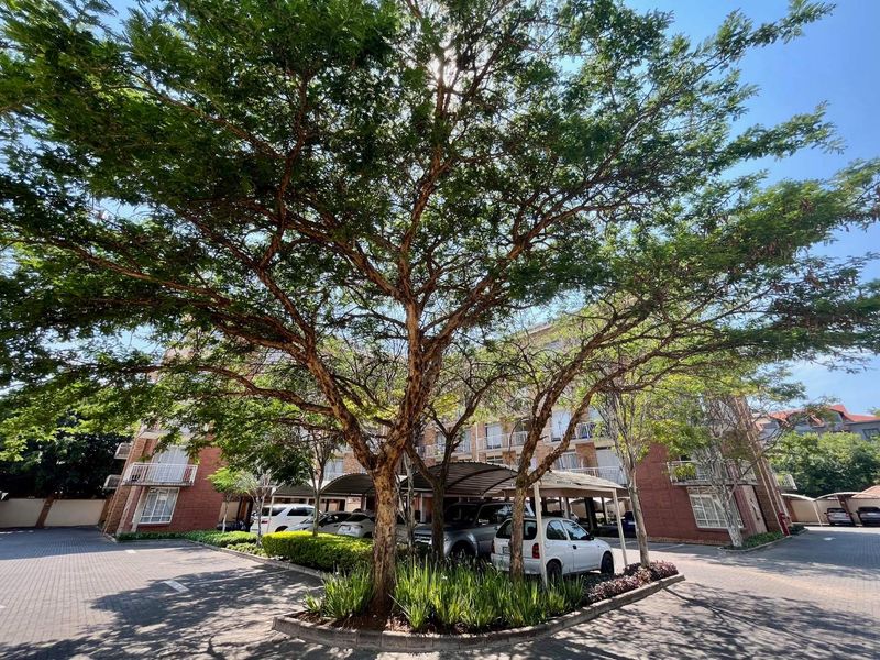 2 Bedroom Apartment for Sale in Hillcrest Boulevard II, Hatfield / Hillcrest - Photo 2