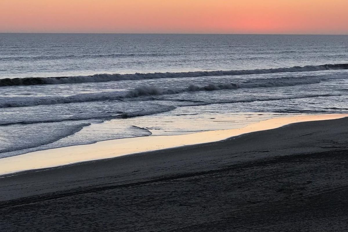 ERF FOR PURCHASE - Photo 5